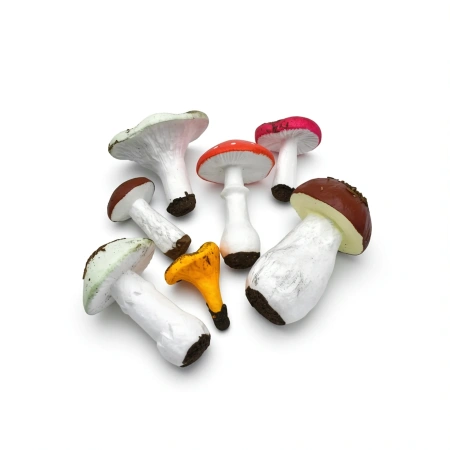 Набор муляжей грибов съедобных и ядовитых